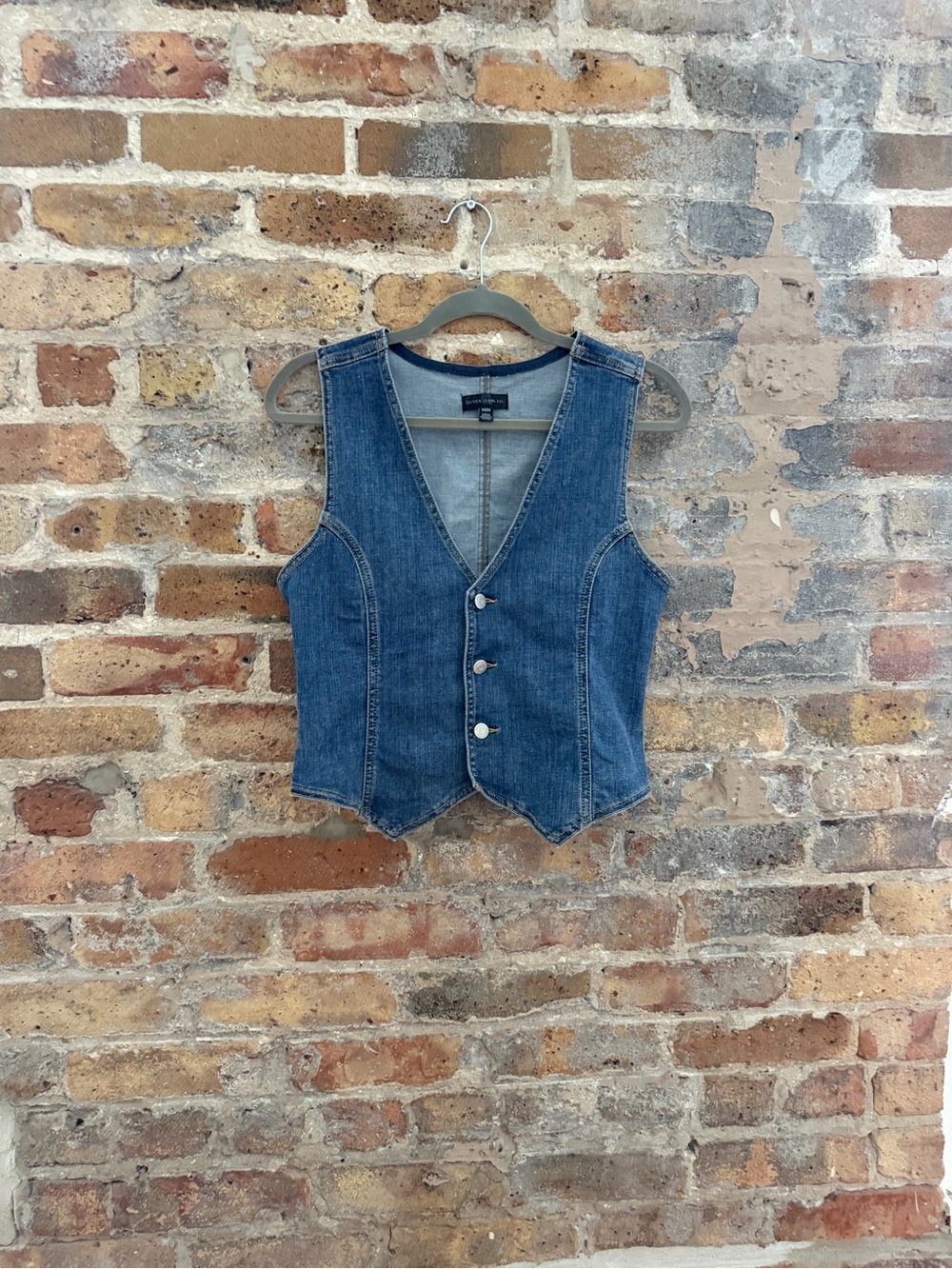 Silver Jeans Denim Vest Tank Top in Blue
